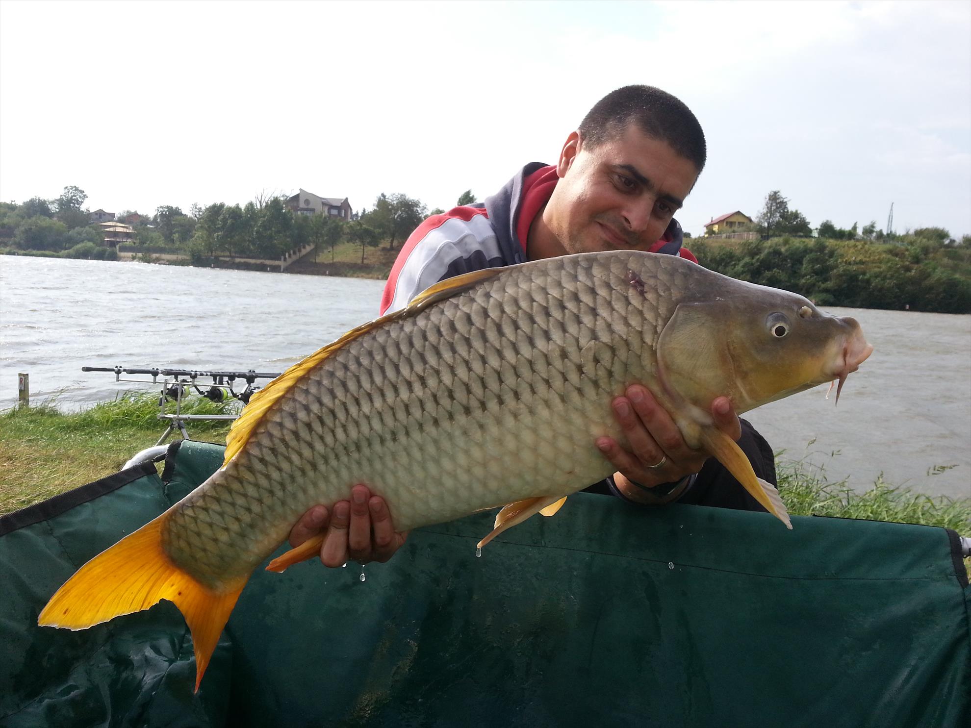 Moara Vlasiei 2 5 septembrie 2014 - 20140905095208.jpg